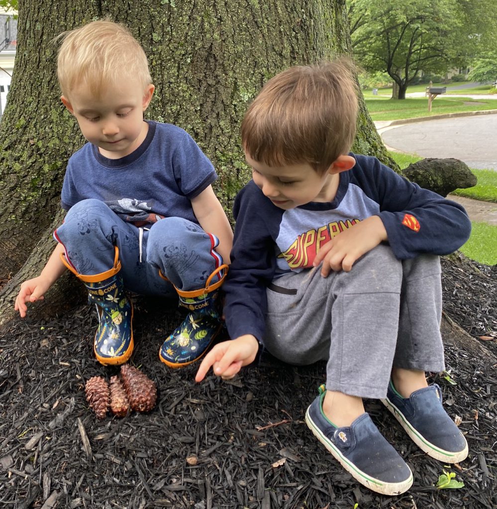 Pine Cone Bird Feeder