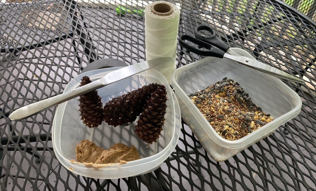 Pine Cone Bird Feeder