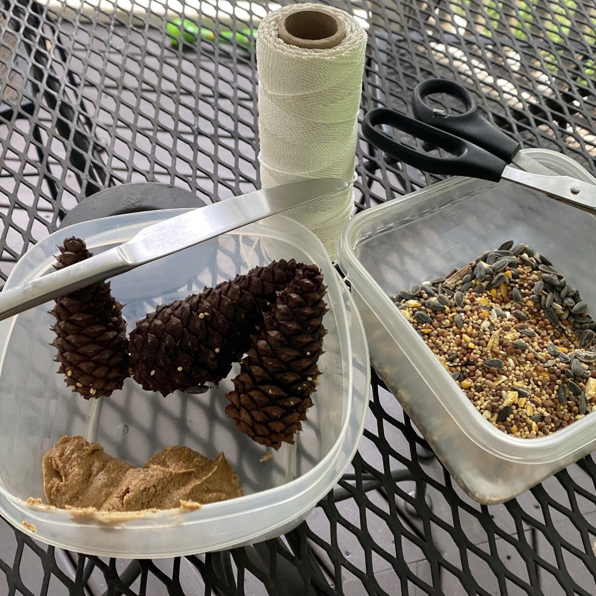 Pine Cone Bird Feeder - Life Transpires