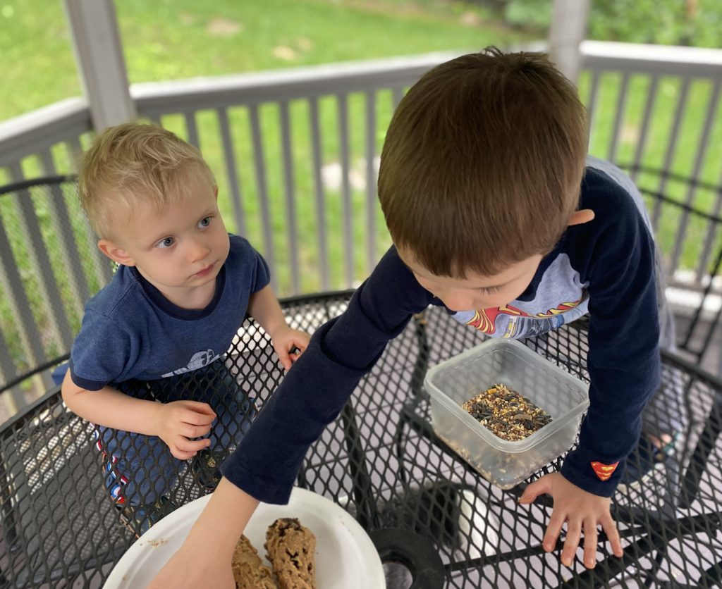 Pine Cone Bird Feeder