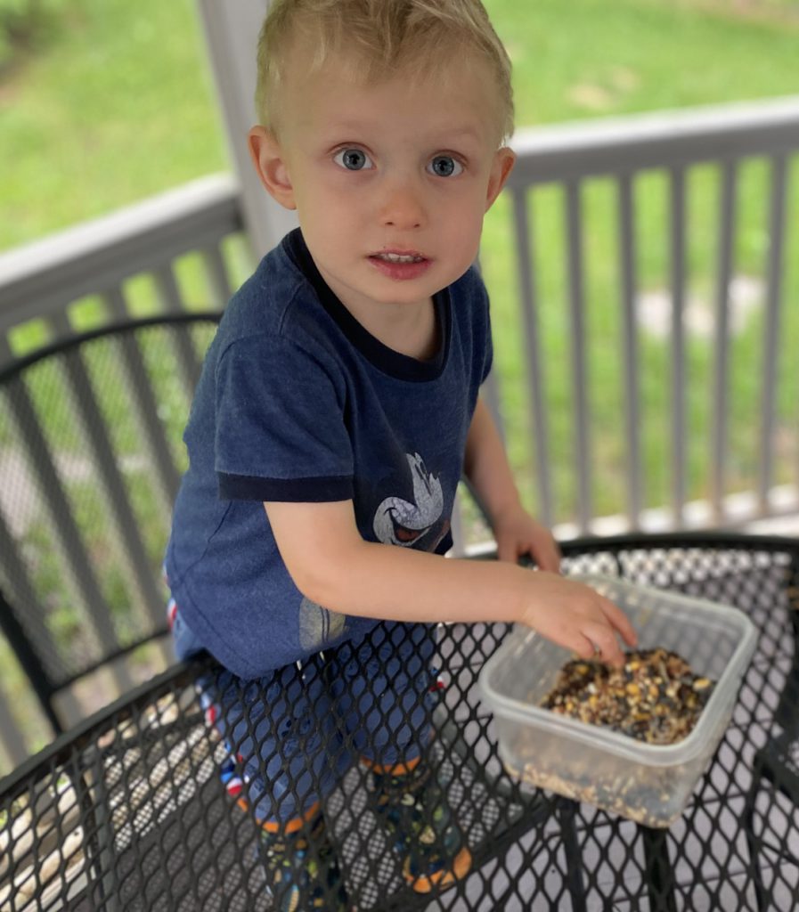 Pine Cone Bird Feeder