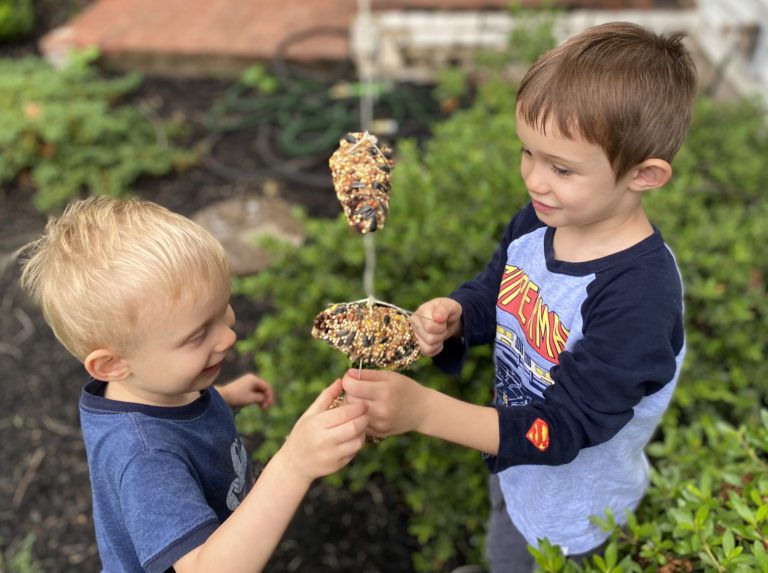 Pine Cone Bird Feeder