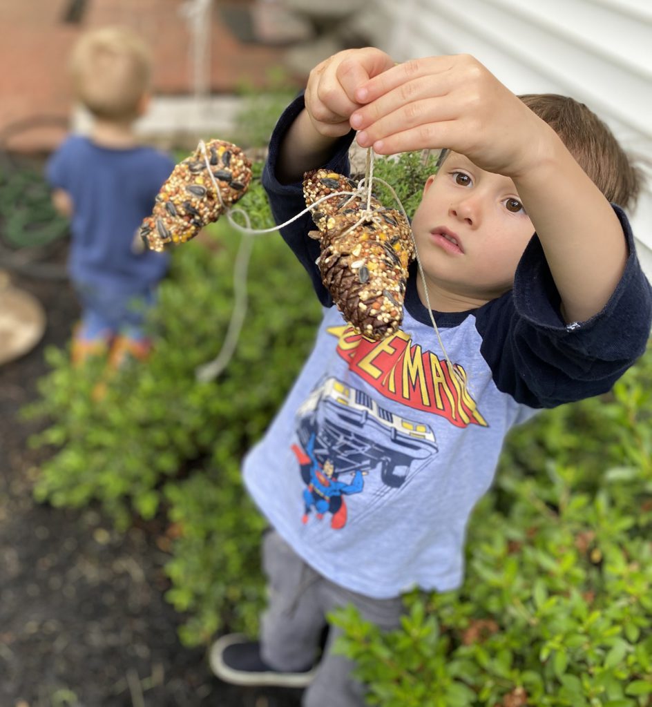 Pine Cone Bird Feeder